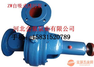 LXL型高效節(jié)能兩相流紙漿泵 100GXL130-30臥式全貫流泵解析