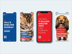 以愛為筆，以食為畫——專訪寵物食品包裝設計師